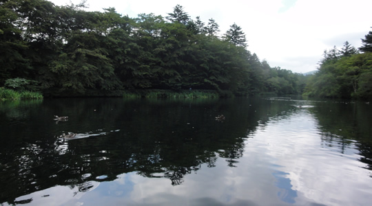 雲場池1