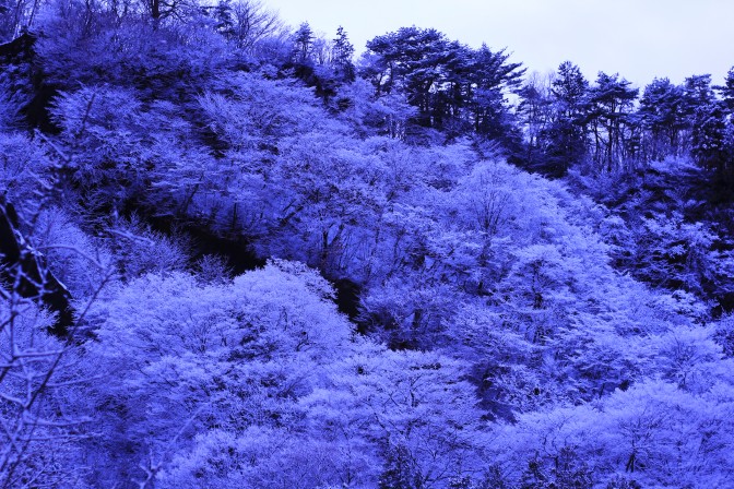 伊香保の山